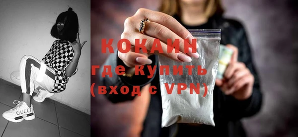 индика Губаха