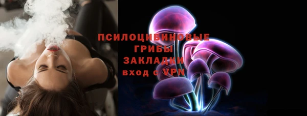 крисы Переславль-Залесский