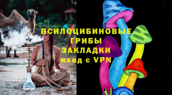 крисы Переславль-Залесский