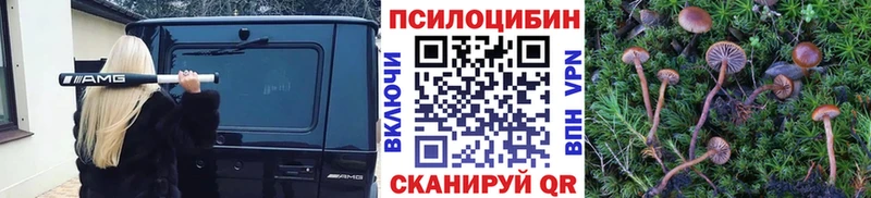 мега ТОР  Кирс  Галлюциногенные грибы Cubensis  наркотики 